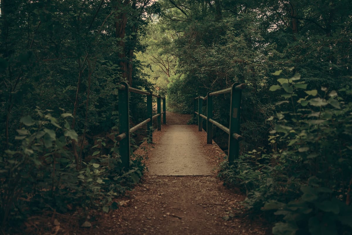 The In-between